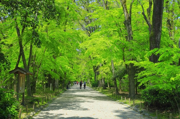 下鴨神社